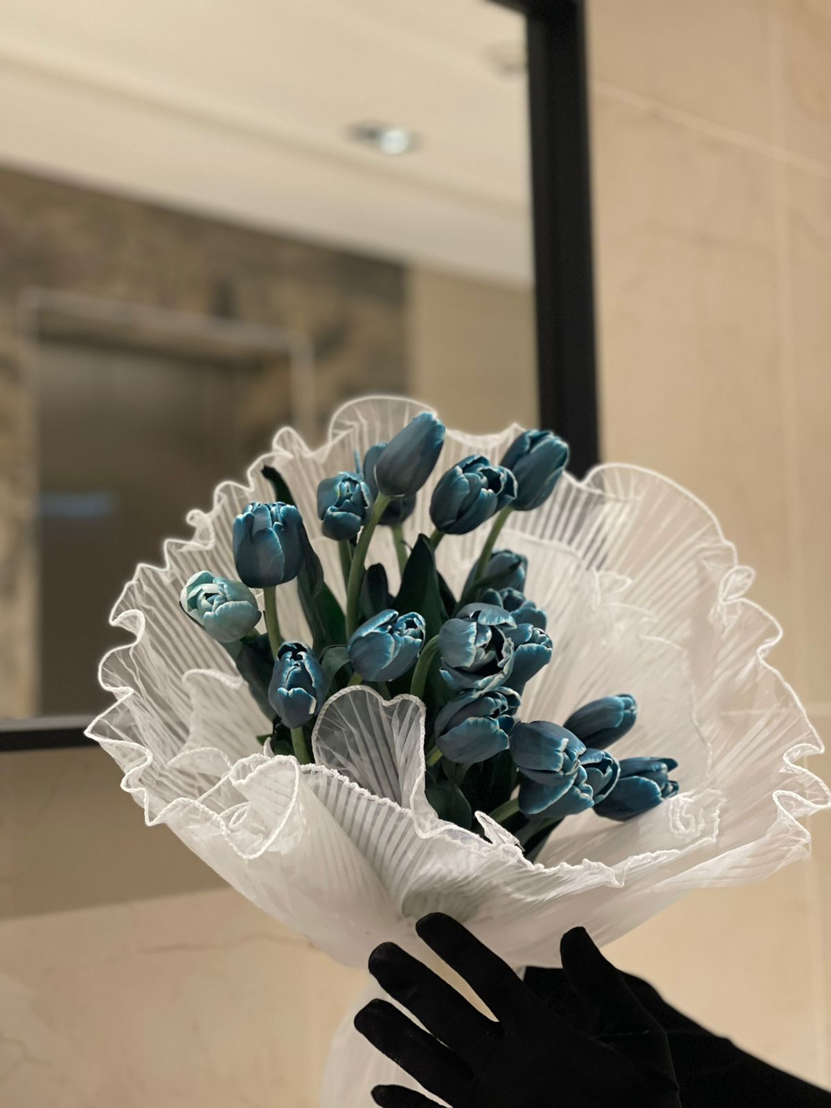 20pcs of Blue Tulips