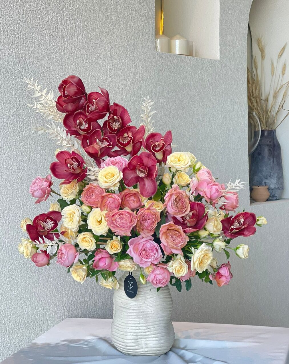 Cymbidium Maroon with Biggie Colors